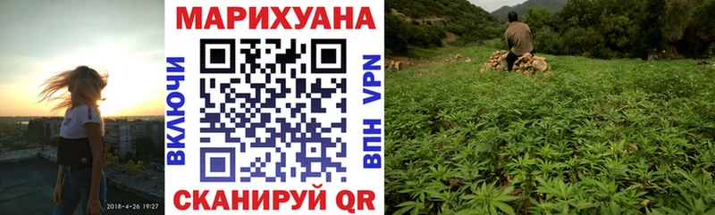 где найти наркотики Аргун площадка состав Канабис сатива